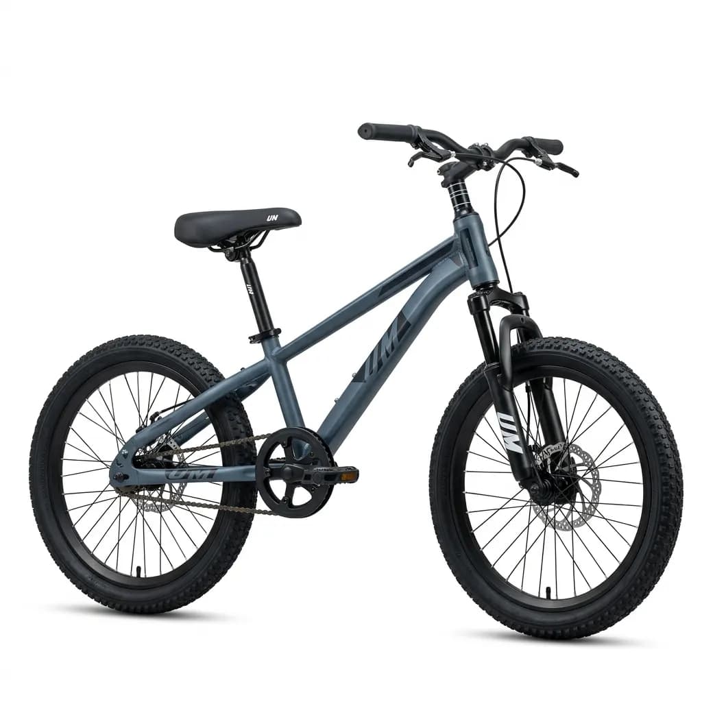 Bicicleta UM Raptor rin 20 negra